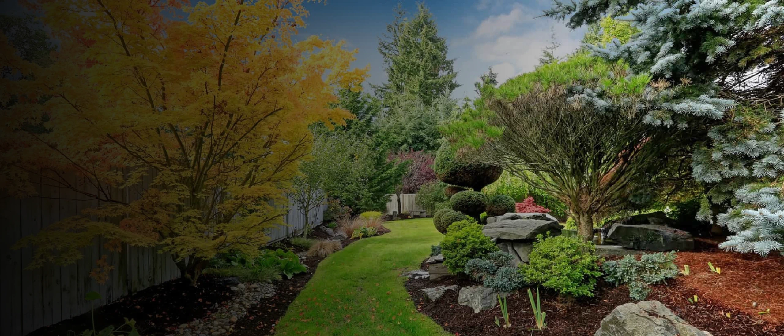 Cardinal Tree Service hero 1